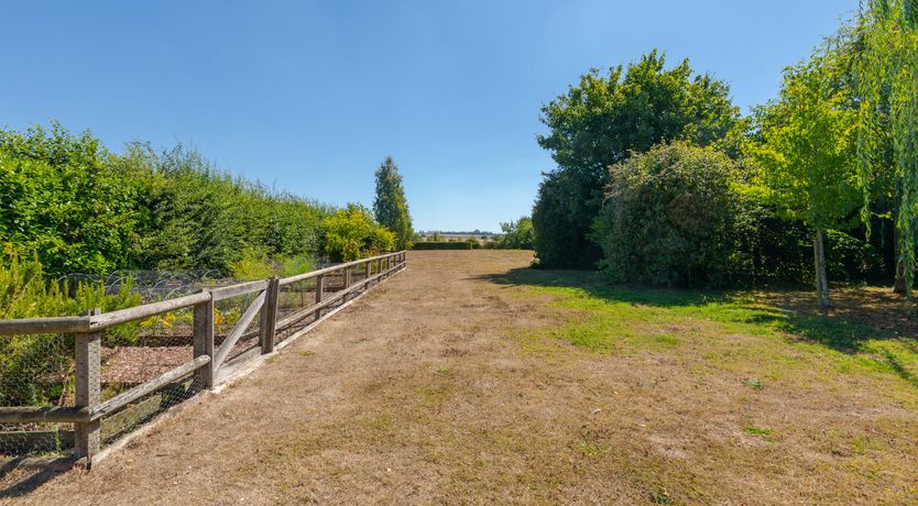 Photo of Reedgrass & Tallow