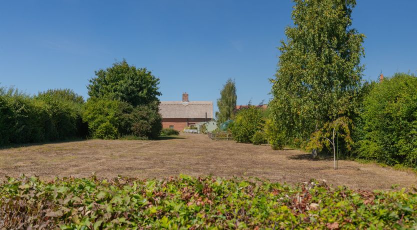 Photo of Reedgrass & Tallow