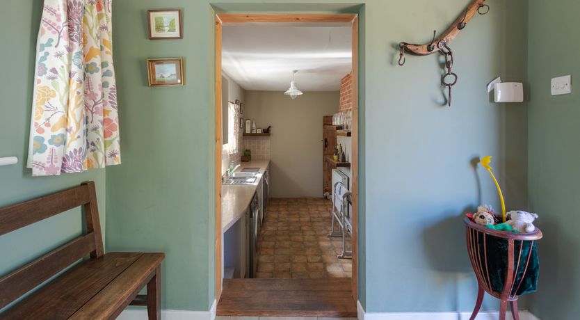 Photo of Reedgrass & Tallow