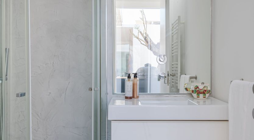 Photo of The Way of Peace