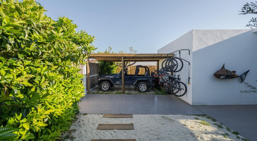 Photo of The Way of Peace