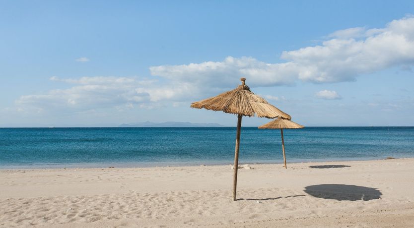 Photo of Premium Athenian