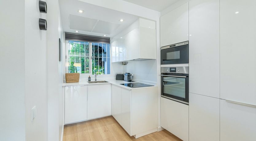 Photo of Star of the Sun