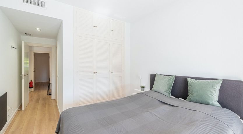 Photo of Star of the Sun