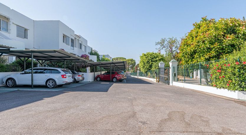 Photo of Star of the Sun