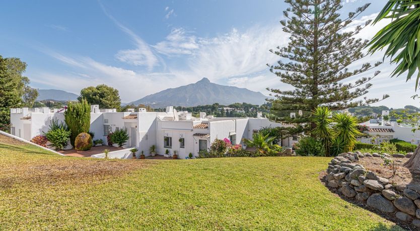 Photo of Star of the Sun