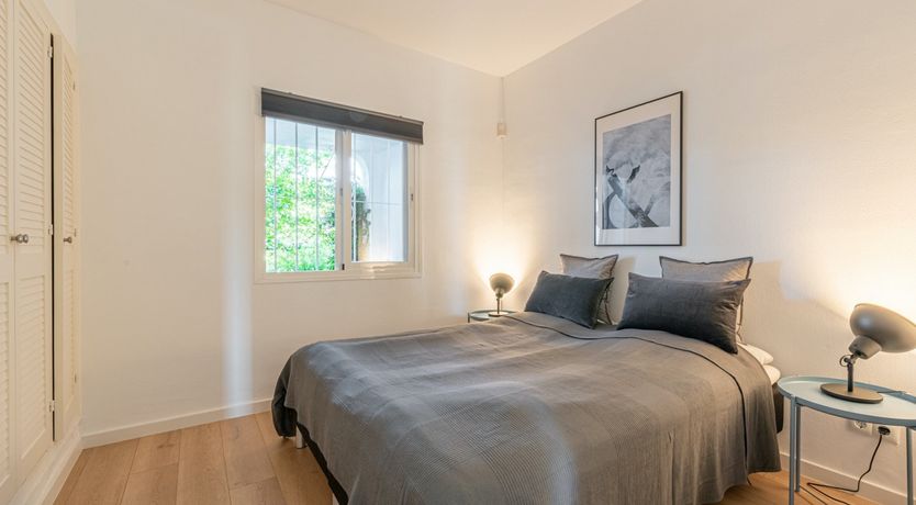 Photo of Star of the Sun