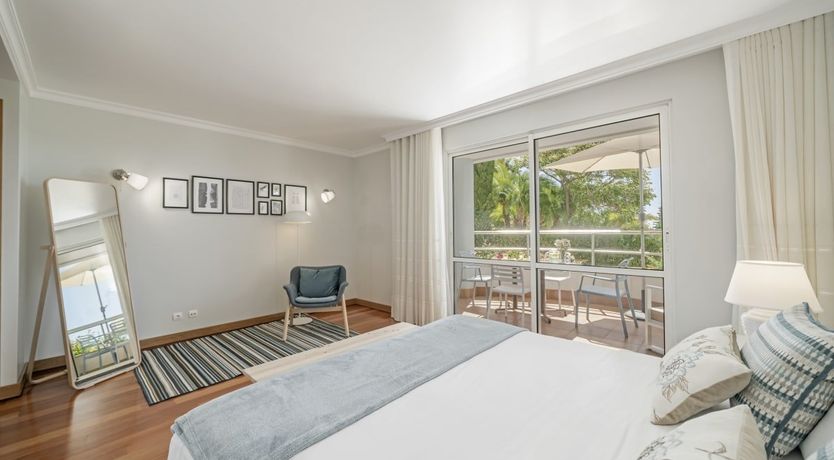 Photo of Eternal Palms