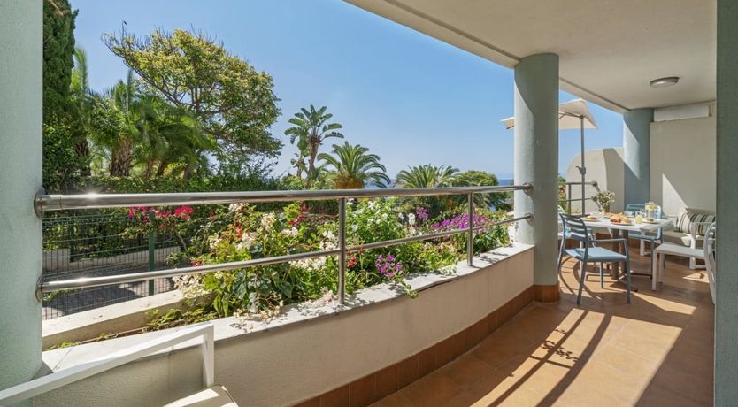 Photo of Eternal Palms