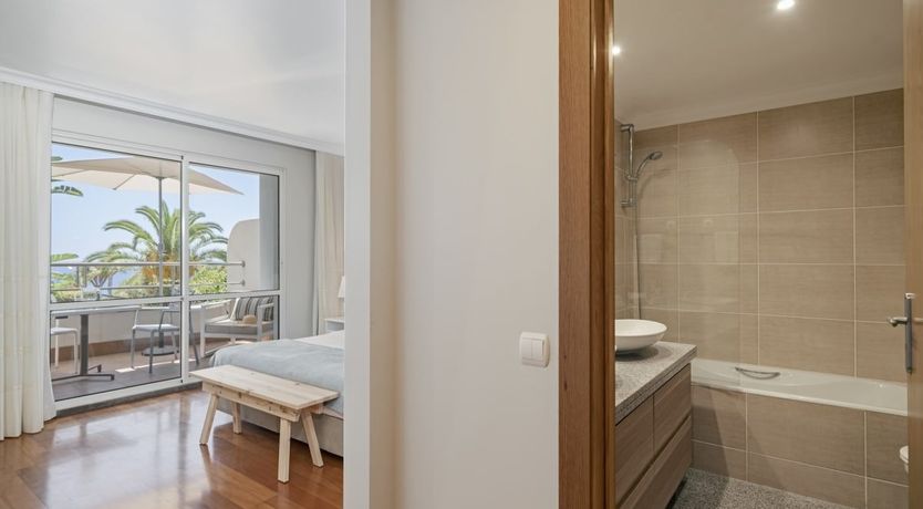 Photo of Eternal Palms