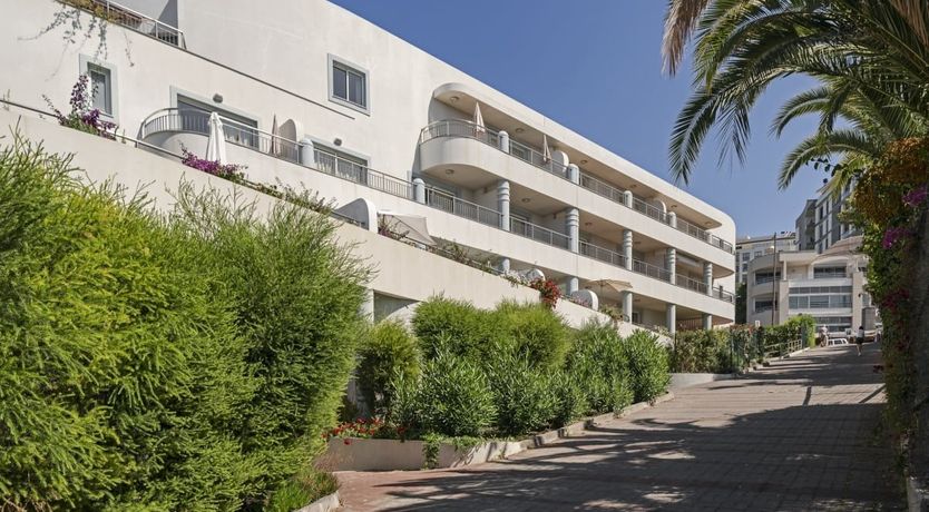 Photo of Eternal Palms