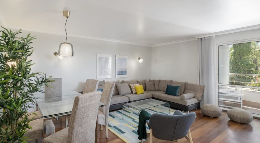 Photo of Eternal Palms