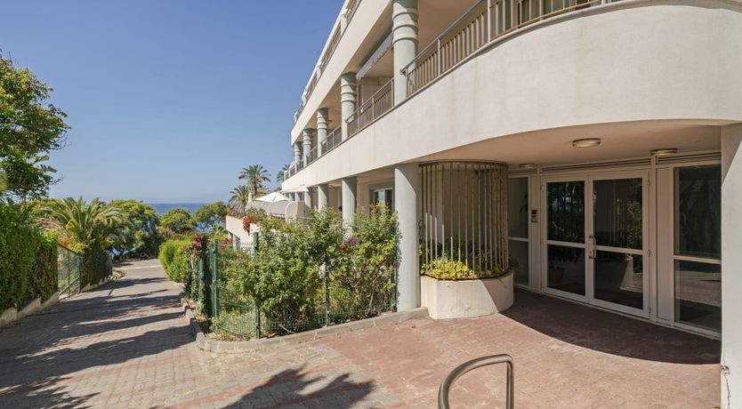 Photo of Eternal Palms