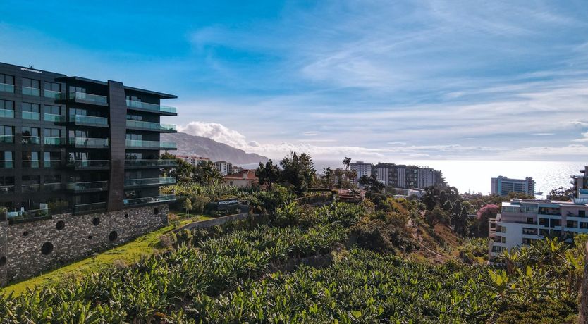 Photo of Coastal Canary