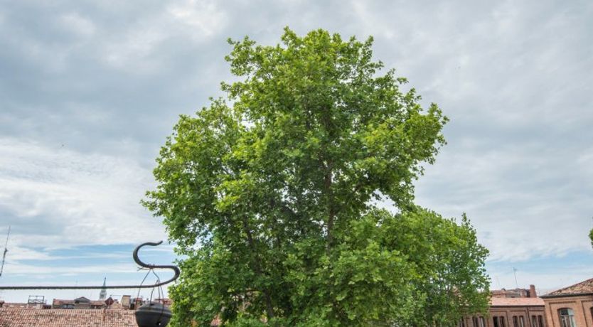 Photo of Between Art & Academia