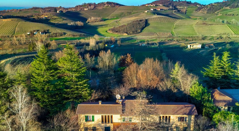 Photo of Over the Truffle Hills