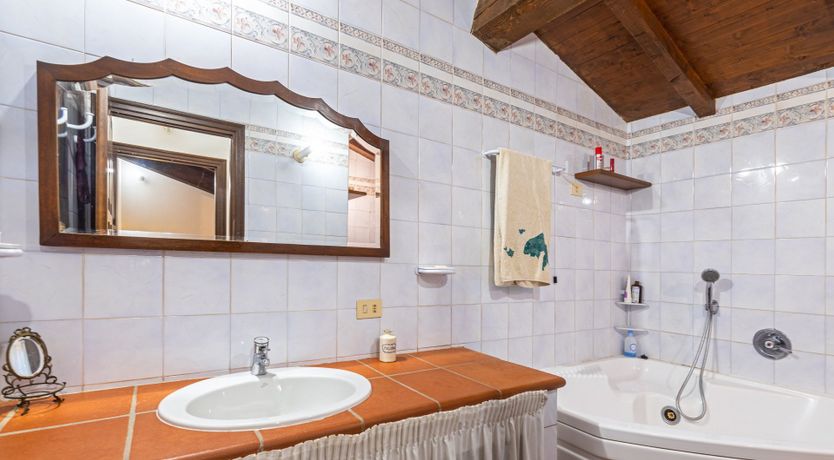 Photo of Over the Truffle Hills