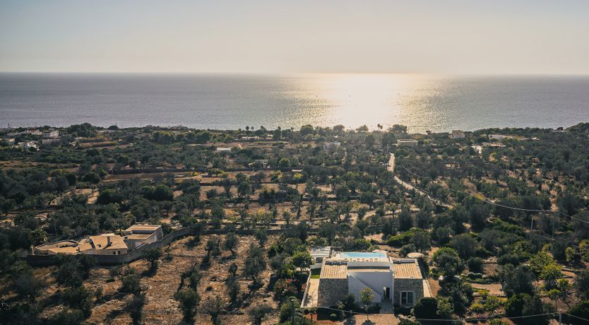 Photo of In Search of Special