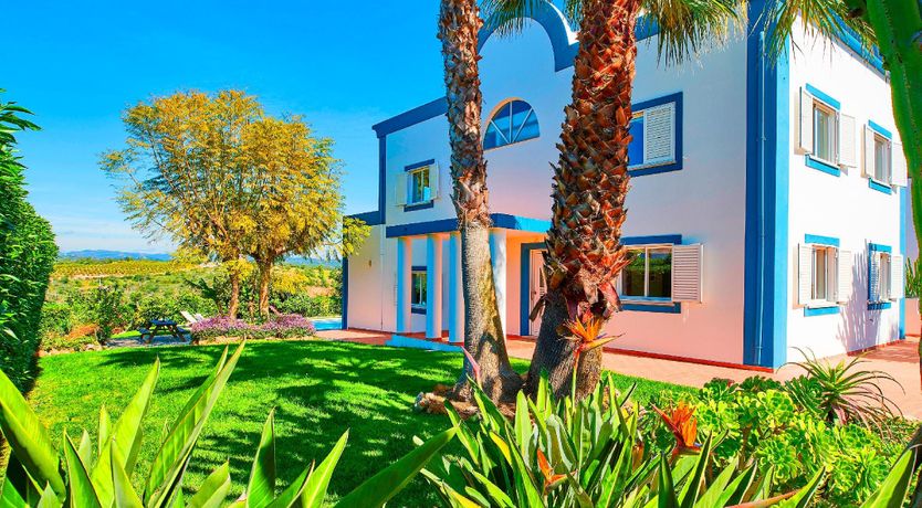 Photo of In The Clearing