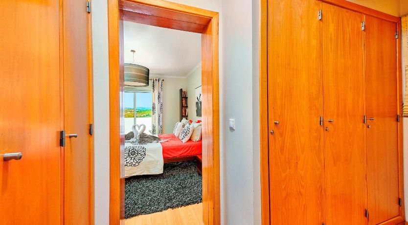 Photo of In The Clearing