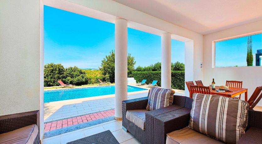 Photo of In The Clearing