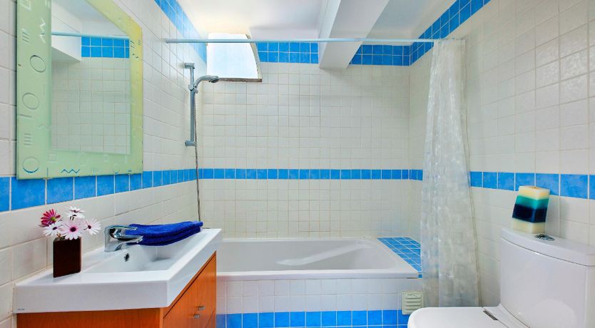 Photo of In The Clearing