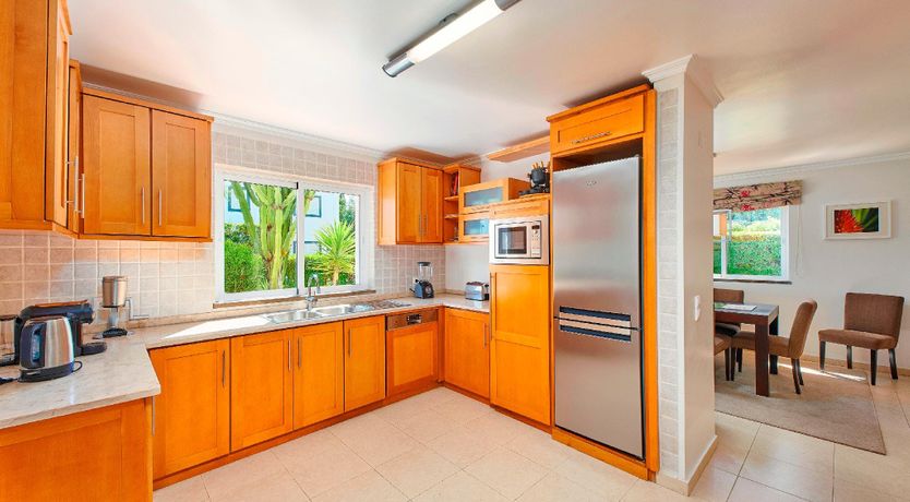 Photo of In The Clearing