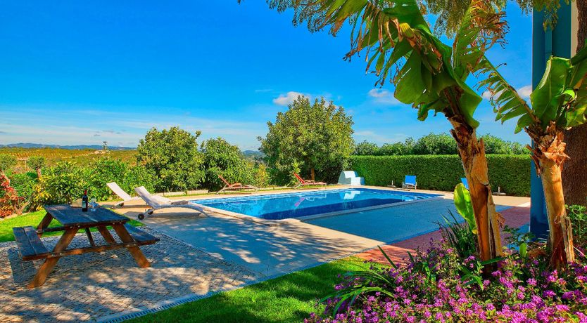 Photo of In The Clearing