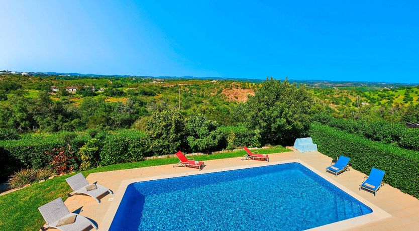 Photo of In The Clearing