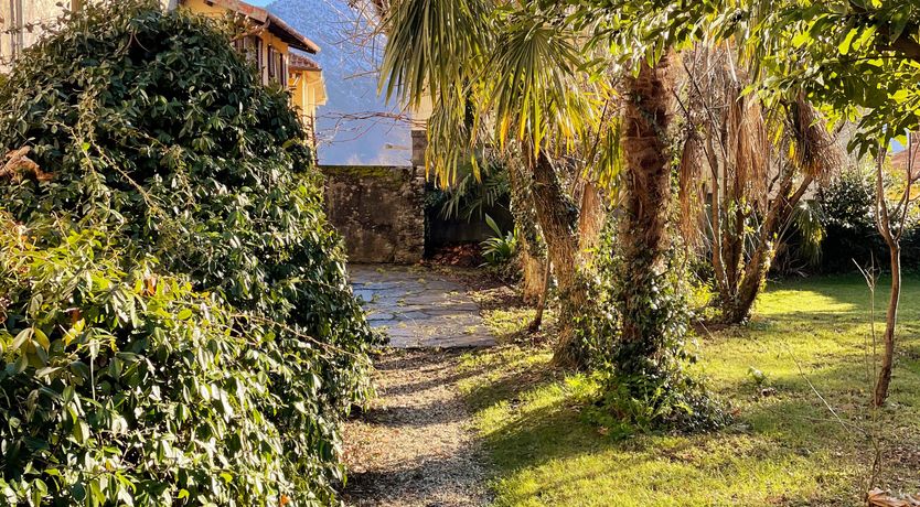 Photo of Up the Haystack