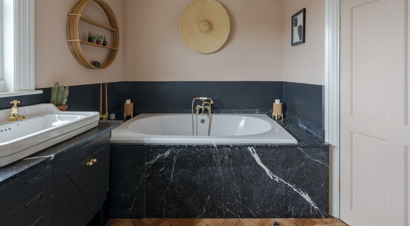 Photo of Forest Twilight