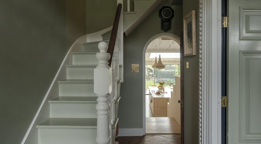 Photo of Forest Twilight