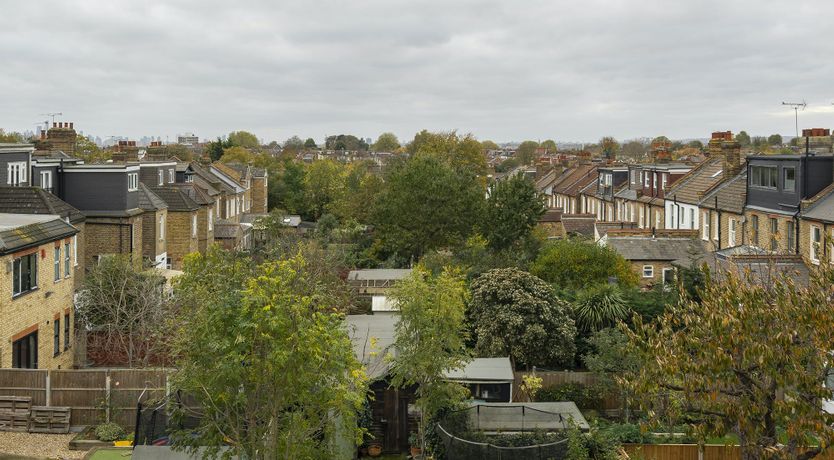 Photo of Forest Twilight