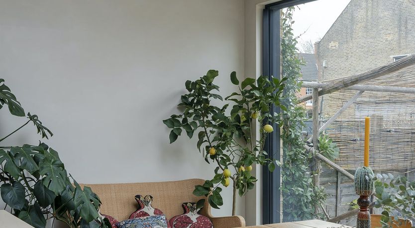 Photo of Forest Twilight