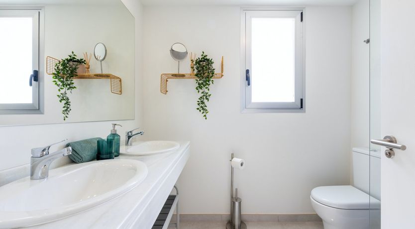 Photo of Deep Velvet Waves