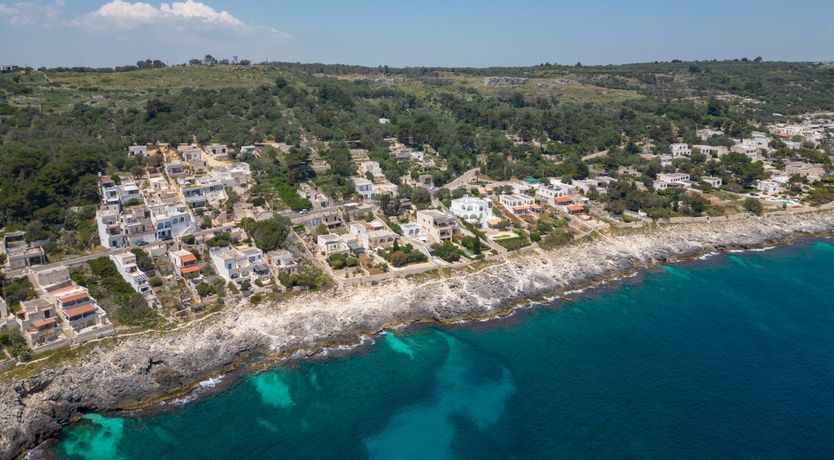 Photo of Wonders of the Sea