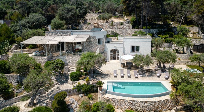 Photo of Wonders of the Sea