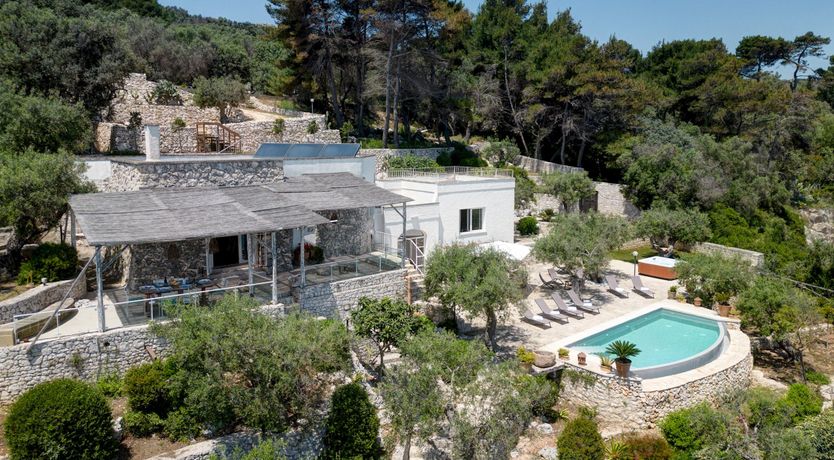 Photo of Wonders of the Sea