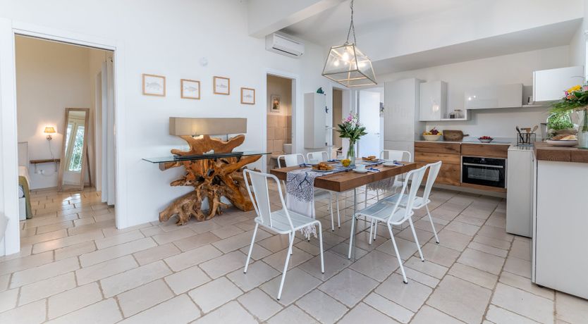 Photo of Wonders of the Sea