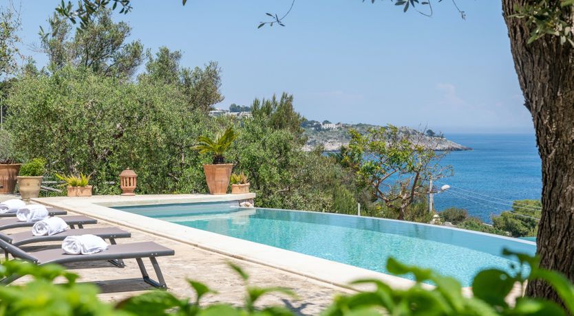 Photo of Wonders of the Sea