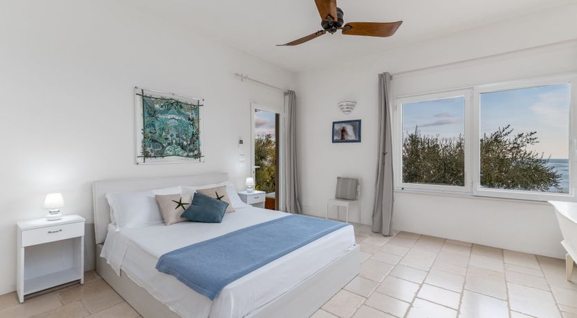 Photo of Wonders of the Sea