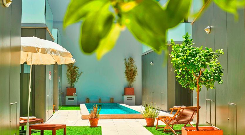 Photo of The Olive Trail