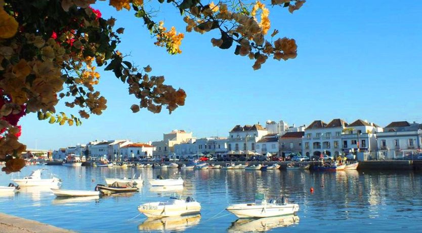 Photo of The Olive Trail