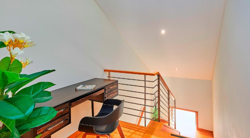 Photo of The Olive Trail