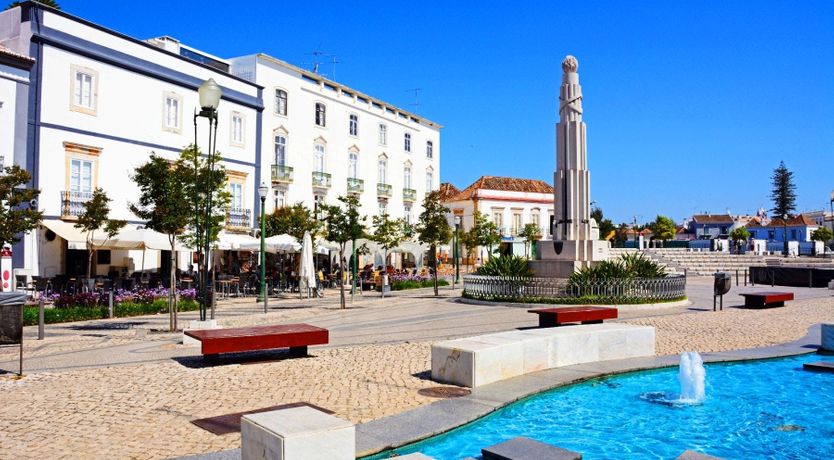 Photo of The Olive Trail