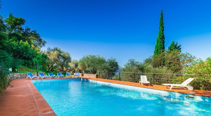 Photo of Depths of Joy