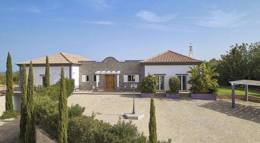 Photo of Buttercups by the Ocean