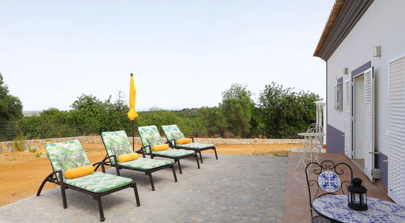 Photo of Buttercups by the Ocean