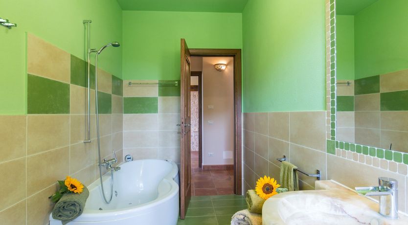 Photo of New Old World