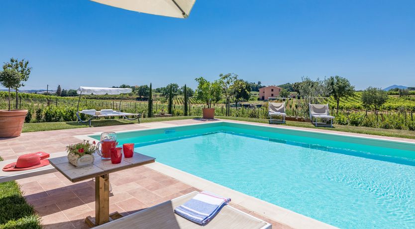 Photo of Between the Vineyards